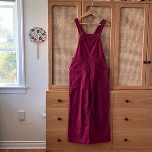 Patagonia Women's Stand-up Cropped Overalls